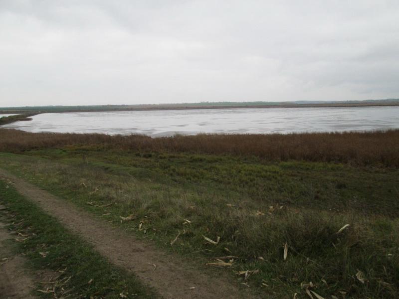 Борщівка