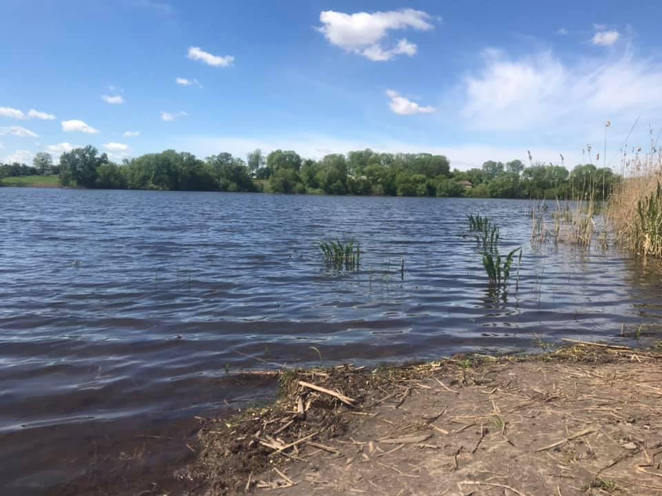 Куровечка