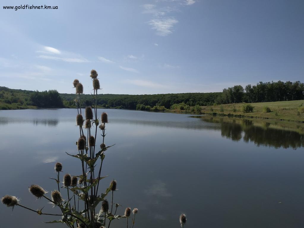Перегінка
