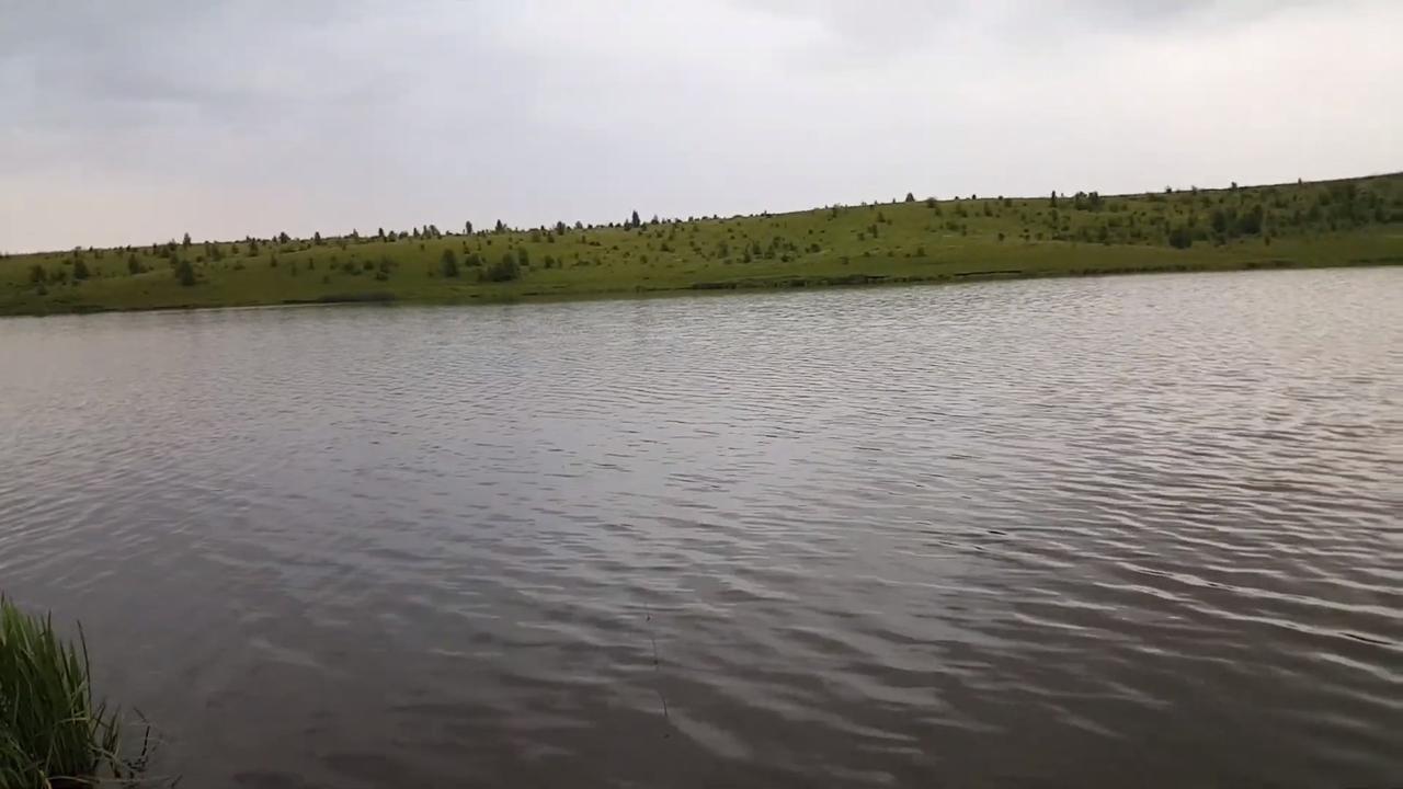Бортники