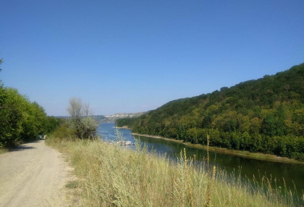 Дністрівка (річка Дністер)