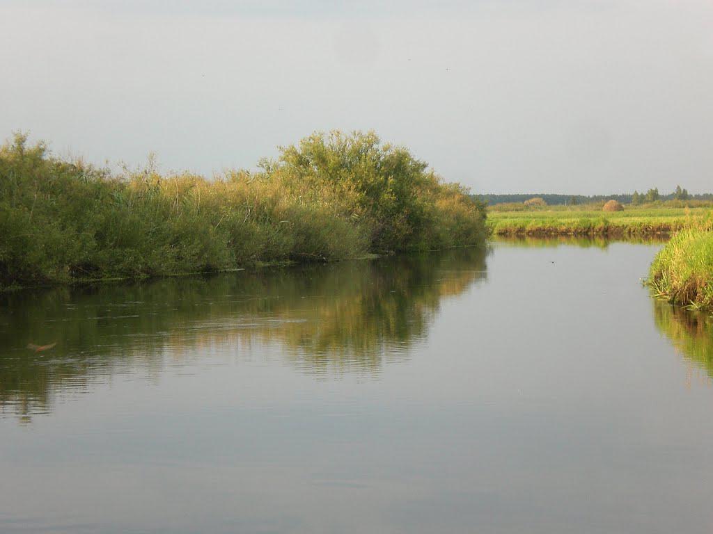 Комори (річка Прип'ять)