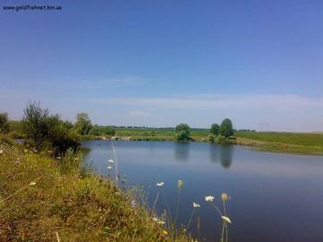 Біла (Стави)