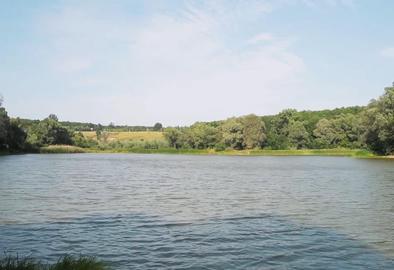 Ков'яги (Зелений гай)