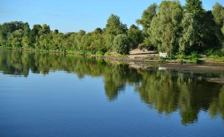 Київ (річка Десна)
