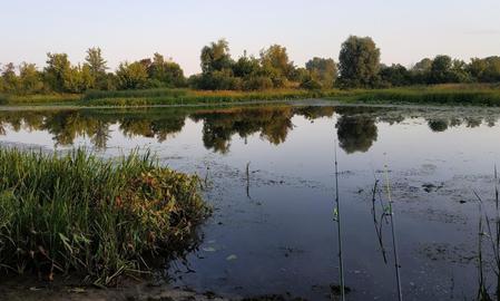 Затока "Погребська Стара"