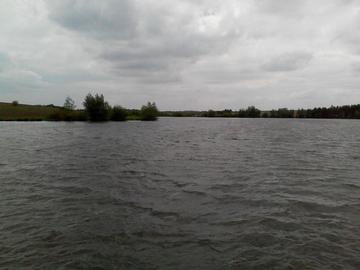 Підлісний Олексинець