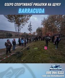 Івашківці (Barracuda)