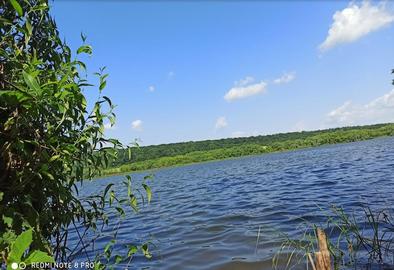 Мартинківське водосховище