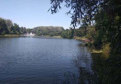 Константинівка (Перший ставок)