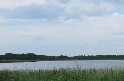 Піща (Озеро Піщанське)