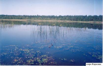 Озеро Карасине (село Підріччя)