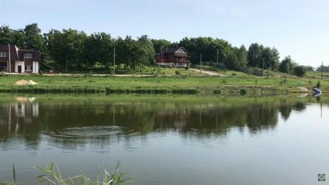 Борщовичі