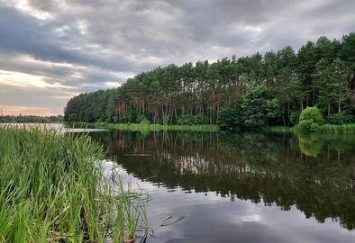 Житомир (Швирида)