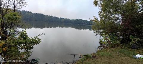 Ступки (Хвиля)