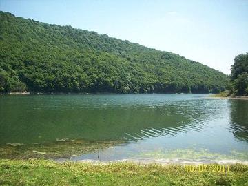 Шебутинці (р. Дністер)