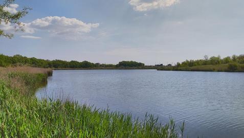 Олександрівське водосховище (Одеська область)