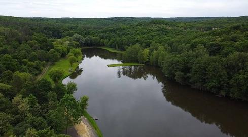 Жаботин (Fish Forest)