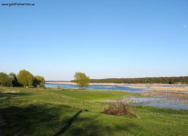 Хрінницьке водосховище