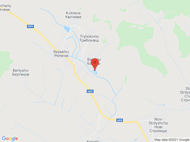 Баківці
