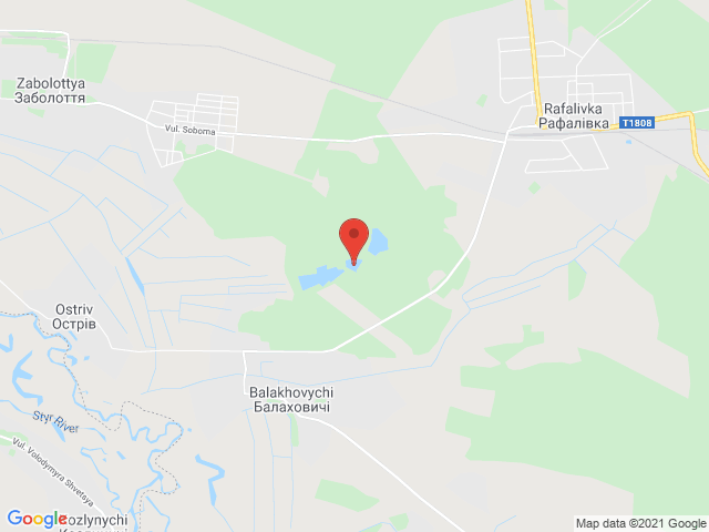Балаховичі