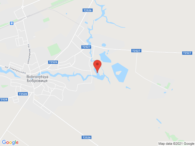 Бобровиця