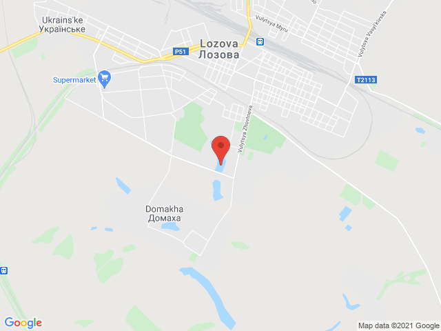 Лозова