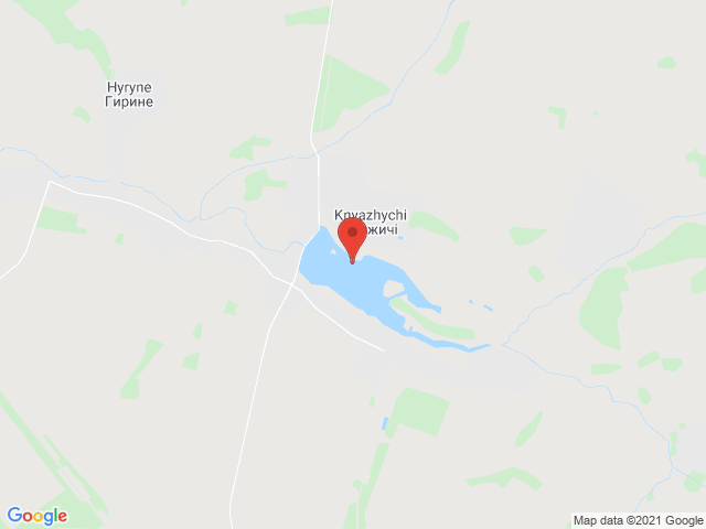 Княжичі