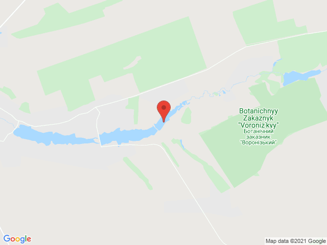 Піндюри