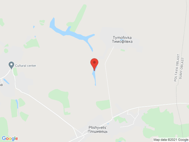 Плішивець