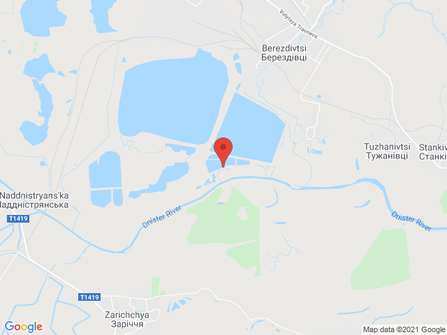 Оцтойніки