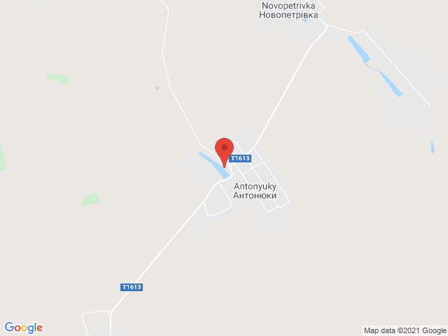 Антонюки