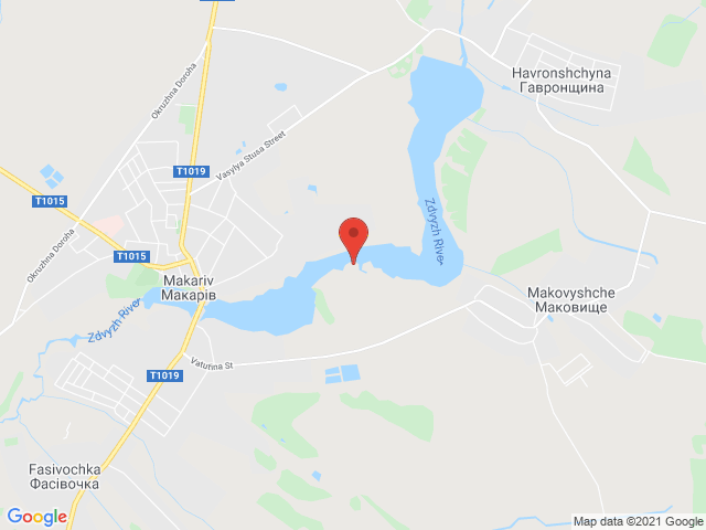 Забуяння