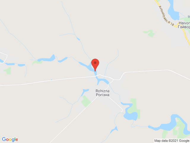 Рогізна