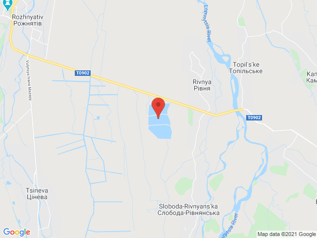 Рівня