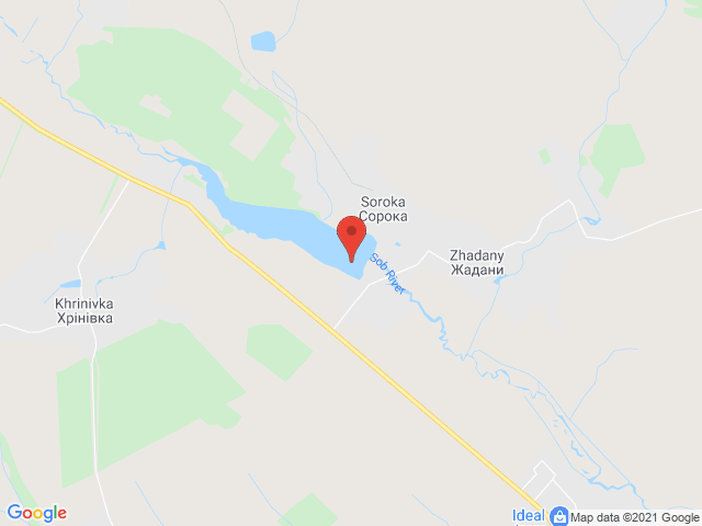 Сорока