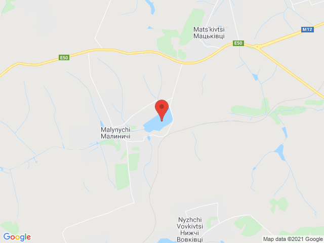 Малиничі