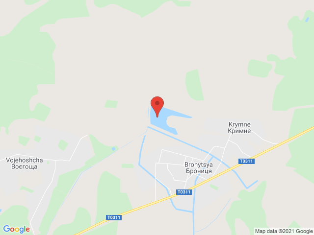 Брониця