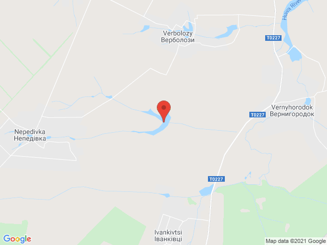 Вила