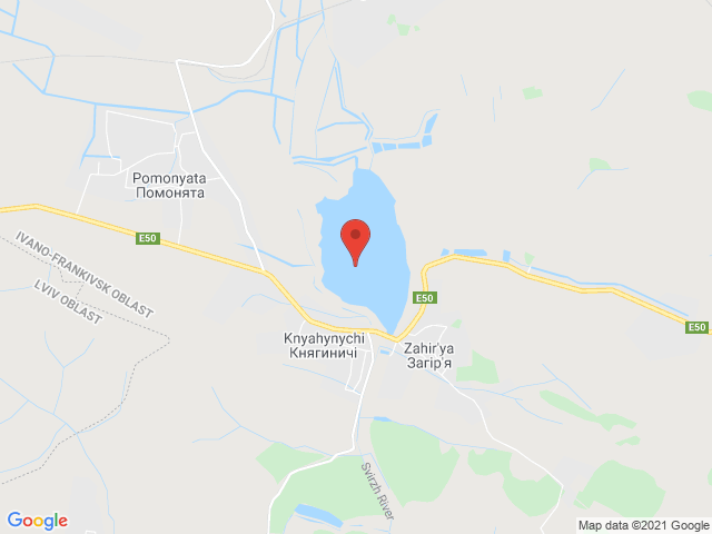 Княгиничі