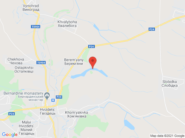 Берем'яни