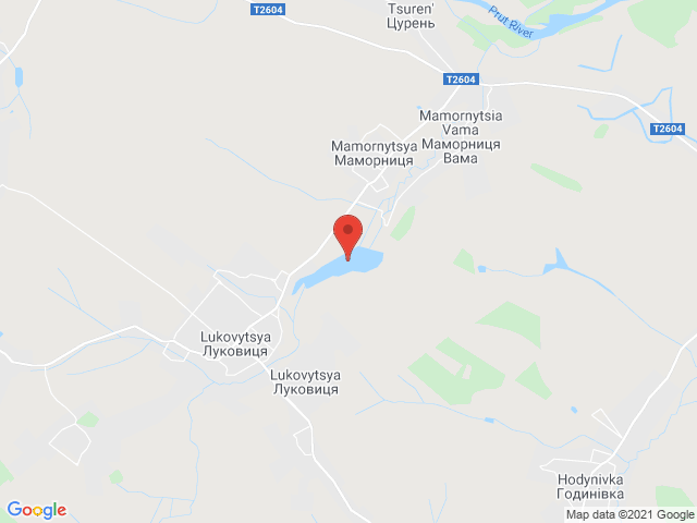 Луковиця