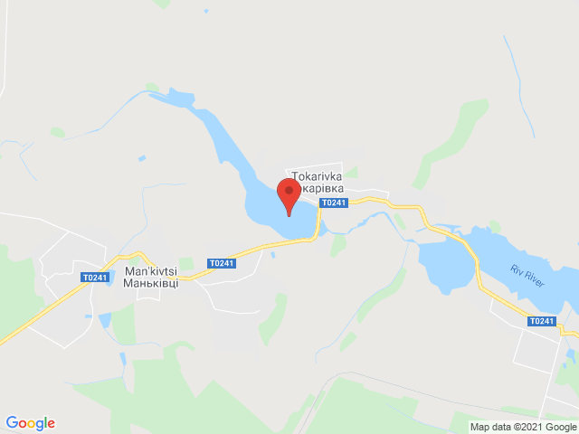 Токарівка