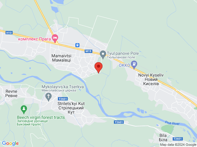 Ставок "Мілкий"