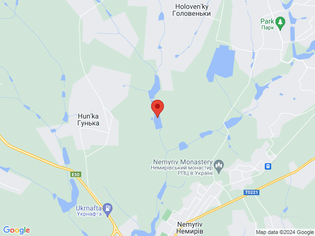 Гунька