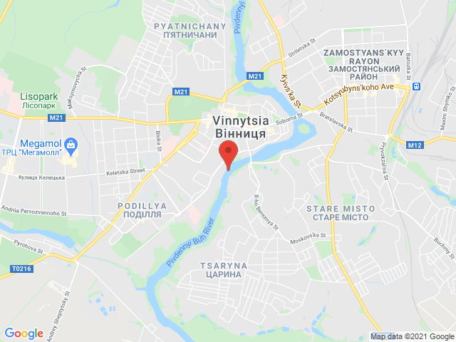 Вінниця (річка Південний Буг)
