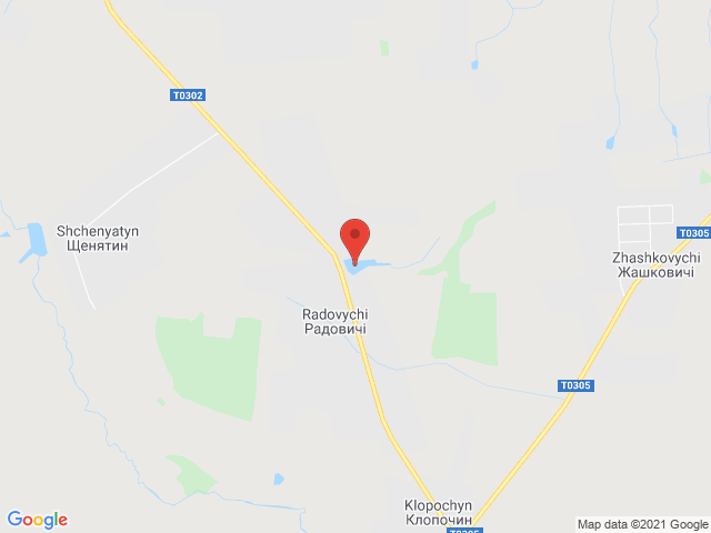 Радовичі