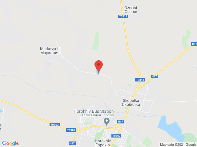 Марковичі