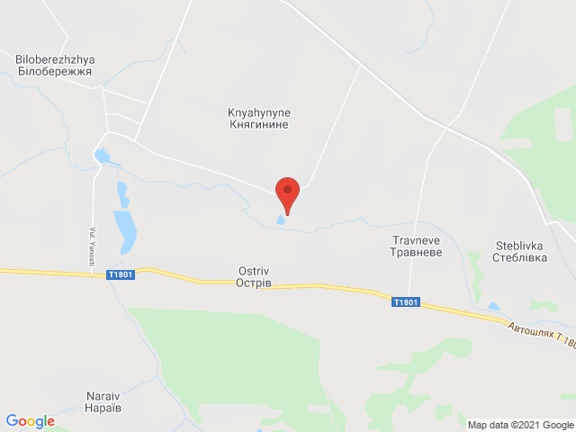 Княгинине