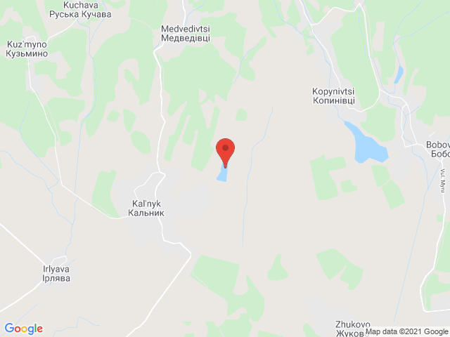 Кальник